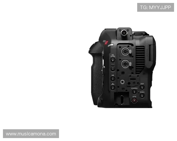 尊龙z6线上登陆页面优化建议提升用户体验的实用方法