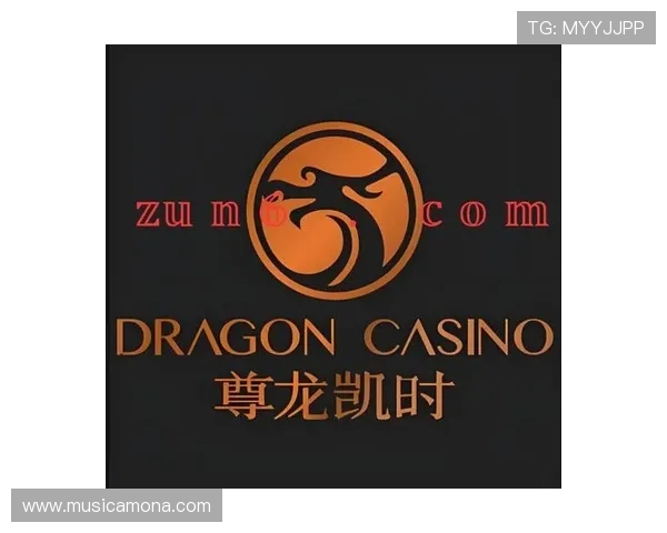 尊龙凯时介绍：了解尊龙凯时的支付方式与客服支持服务详情