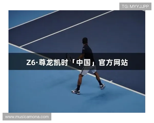 尊龙凯时平台登陆用户评价与反馈，听取玩家心声不断优化提升平台服务质量
